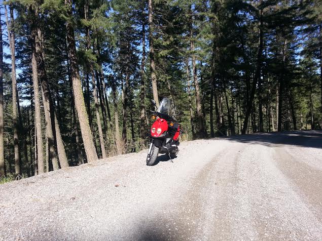 taking her down some awesome forestry roads