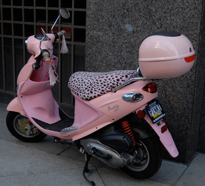 dreamscoot2.jpg