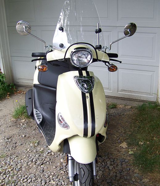 buddy5.jpg