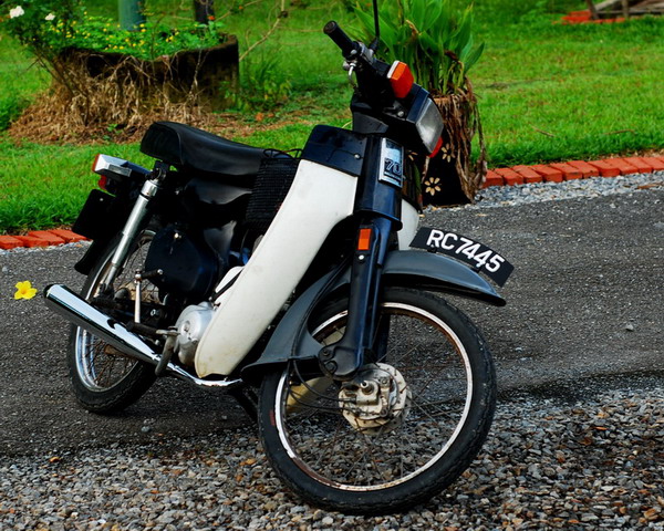 1981 C70 GBO