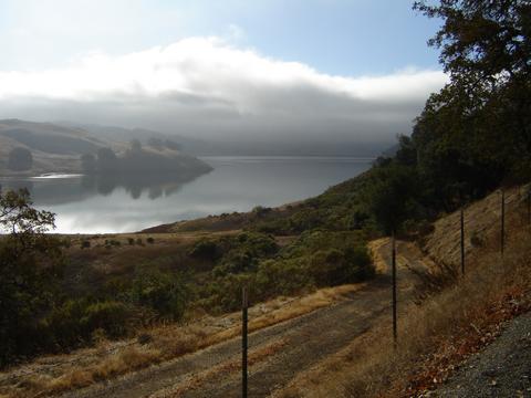 This is another shot of the lake. Did I mention how dirty that lake look?