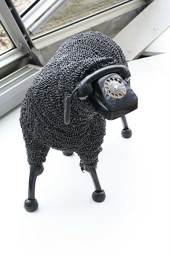 black sheep.jpg