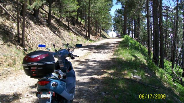 Up the fire road, Mt Bigelow
