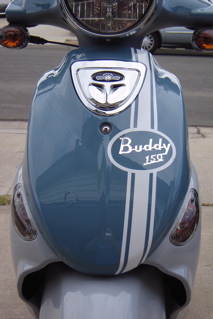 Buddy Racing Stripe - White.JPG