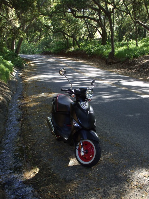 DSCF4009.jpg